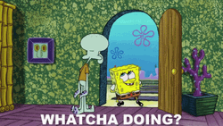What Are You Doing SpongeBob To Squidward GIF