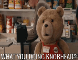 What Are You Doing Ted The Bear GIF