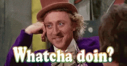 What Are You Doing Willy Wonka GIF
