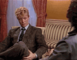 What Are You Kidding Me David Bowie  GIF