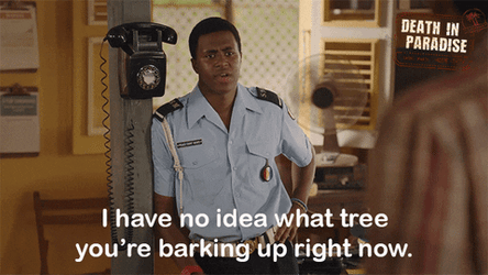 What Are You Talking About Confused Barking Up GIF
