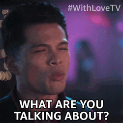 What Are You Talking About Vincent Rodriguez III GIF