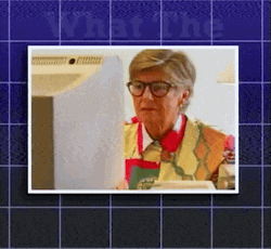 What Are You Talking About What The Heck GIF
