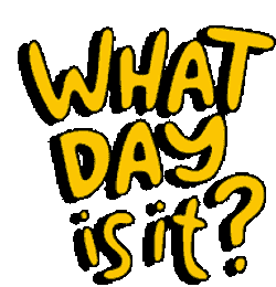 What Day Is It What Day Is It Today Sticker GIF