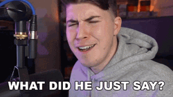 What Did He Say Meme Kavos GIF