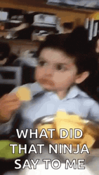 What Did He Say Meme Kid Ninja GIF