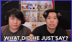 What Did He Say Meme Smg4 GIF