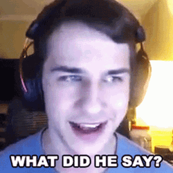 What Did He Say Meme Wedidvalorant GIF