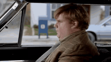What Did You Do Messed Up GIF