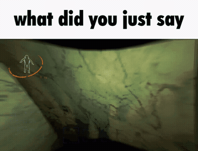 What Did You Just Say GIF