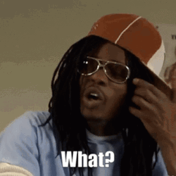 What Did You Say GIF