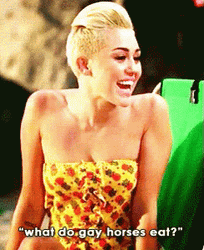What Do Gay Horses Eat Mylie Cyrus Asks GIF