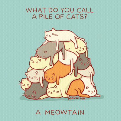 What Do You Call A Pile Of Cats GIF