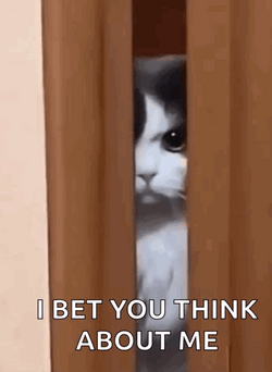 What Do You Think About Me Cat GIF
