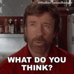 What Do You Think Chuck Norris GIF