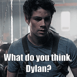 What Do You Think Dylan GIF