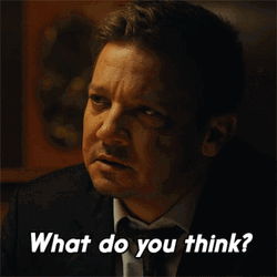 What Do You Think Jeremy Renner GIF