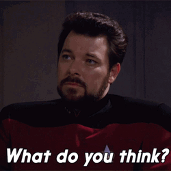 What Do You Think William T. Riker GIF