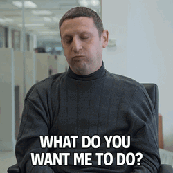 What Do You Want To Do Tim Robinson GIF