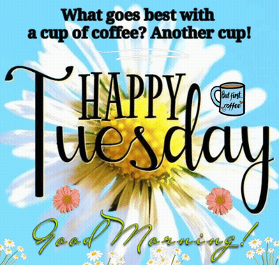 What Goes Best With A Cup Of Coffee Another Cup Happy Tuesday Good Morning ! GIF