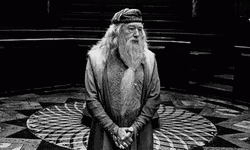 What Happen Here Dumbledore GIF
