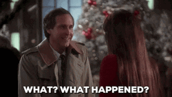 What Happened Clark Griswold GIF