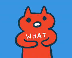 What Have I Done Cat Love GIF