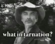 What In Tarnation GIF