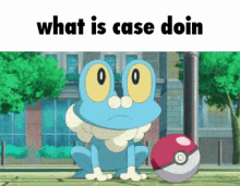 What Is Froakie Pokemon Case Doing  GIF