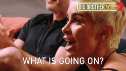 What Is Going On Big Brother VIP GIF