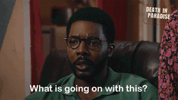 What Is Going On Death In Paradise GIF