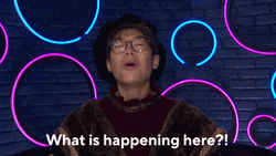 What Is Going On Diary Room GIF