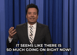 What Is Going On Jimmy Fallon GIF