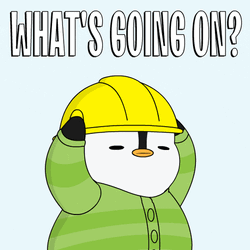 What Is Going On Pudgy Penguin GIF