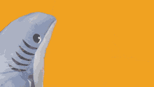 What Is Going On Shark GIF