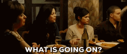 What Is Going On Vanessa Ferlito GIF