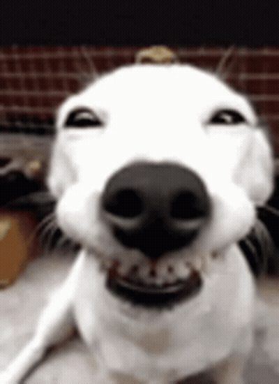 What Is Happening GIF
