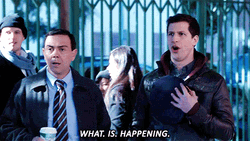 What Is Happening Andy Samberg Brooklyn 99499 X 281 Gif