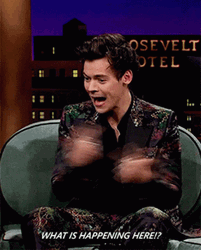 What Is Happening Harry Styles GIF