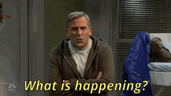 What Is Happening Steve Carell GIF