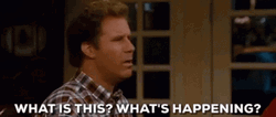 What Is Happening Will Ferrell GIF