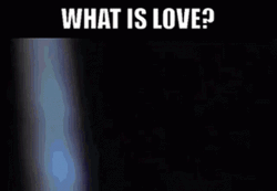 What Is Love Music Video GIF