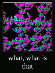 What Is That Optical Illusion GIF