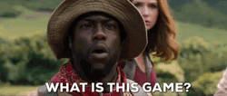 What Is This Game Kevin Hart  GIF