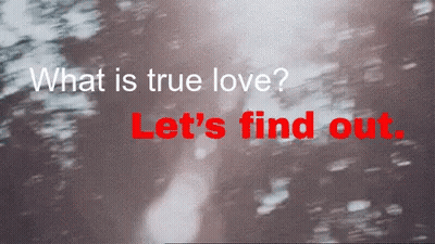 What Is True Love Let 'S Find Out In Red GIF