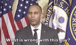 What Is Wrong With This Guy Hakem Jeffries GIF