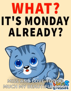 What Its Monday Monday Already GIF
