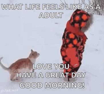 What Life Feels Like As A Adult Love You Have A Great Day Good Morning . GIF