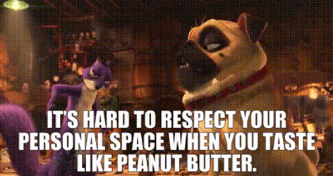 What Like Its Hard To Respect Your Personal Space GIF