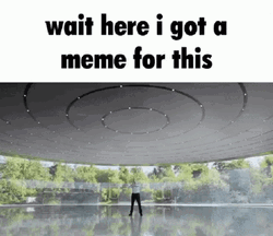 What Meme GIF